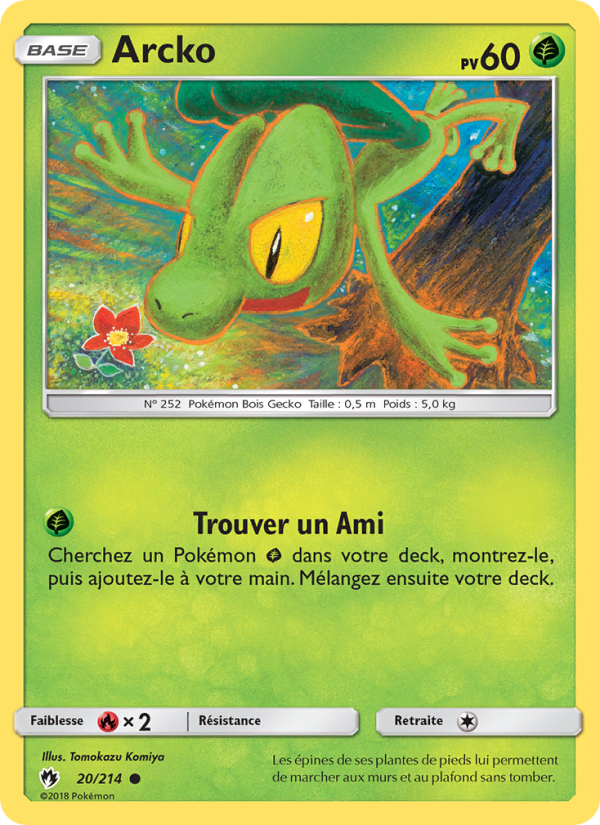 Arcko 20 — Tonnerre Perdu (French Pokémon TCG card)