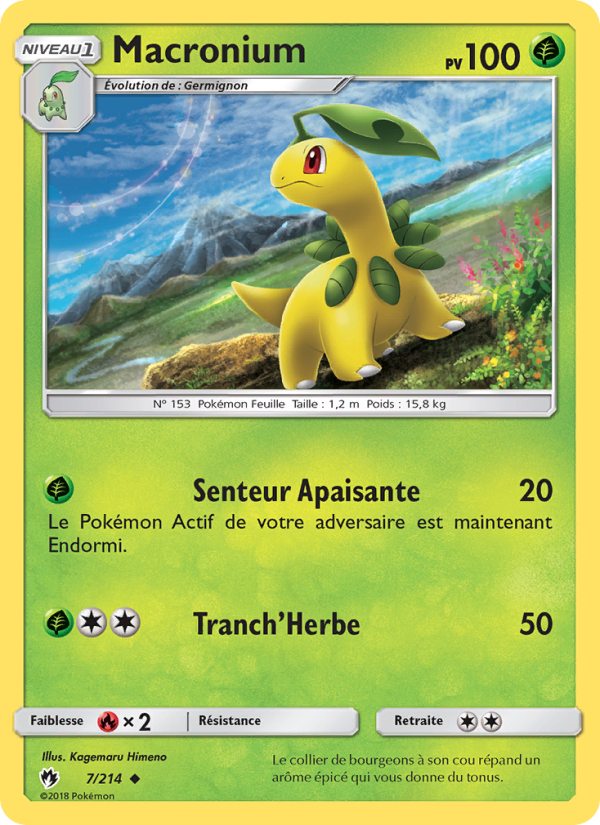 Macronium 7 — Tonnerre Perdu (French Pokémon TCG card)