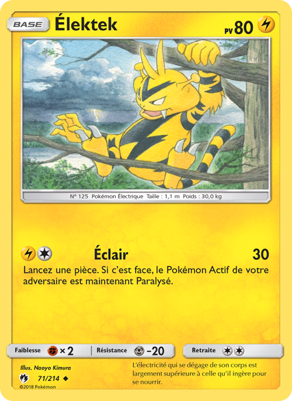Élektek 71 — Tonnerre Perdu (French Pokémon TCG card)