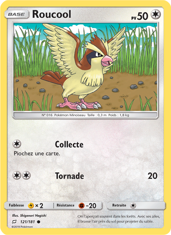 Roucool 121 — Duo de Choc (French Pokémon TCG card)