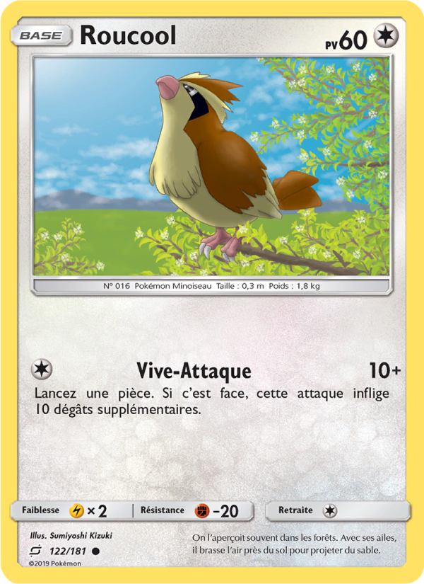 Roucool 122 — Duo de Choc (French Pokémon TCG card)