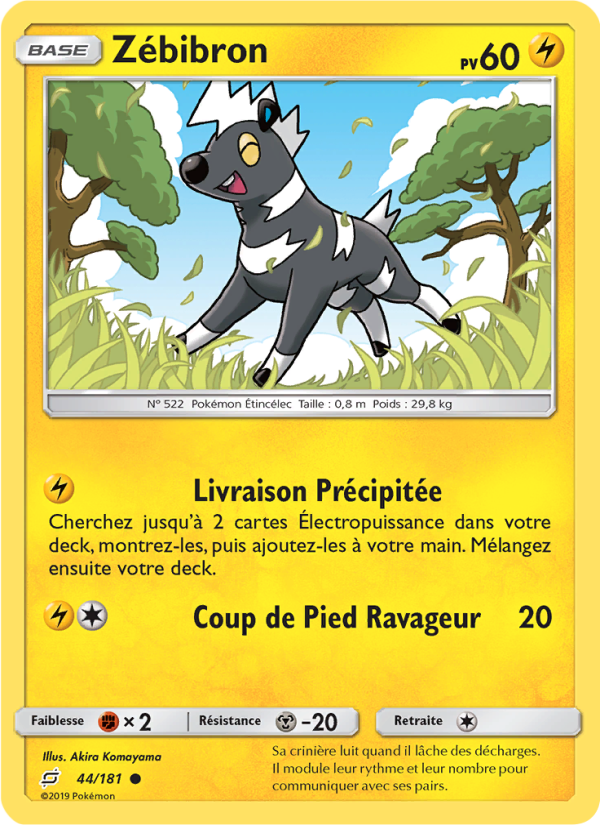 Zébibron 44 — Duo de Choc (French Pokémon TCG card)
