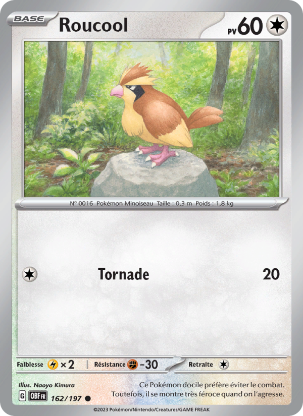 Roucool 162 — Flammes Obsidiennes (French Pokémon TCG card)