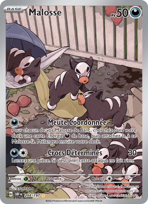 Malosse 204 — Flammes Obsidiennes (French Pokémon TCG card)