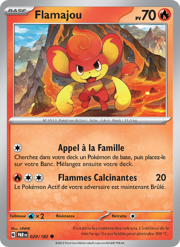 Flamajou 020 — Faille Paradoxe (French Pokémon TCG card)