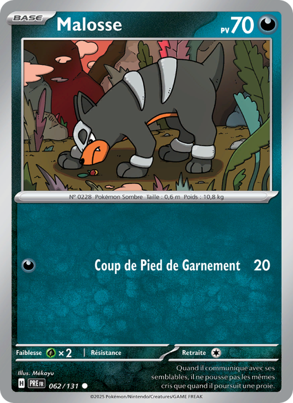 Malosse 062 — Évolutions Prismatiques (French Pokémon TCG card)