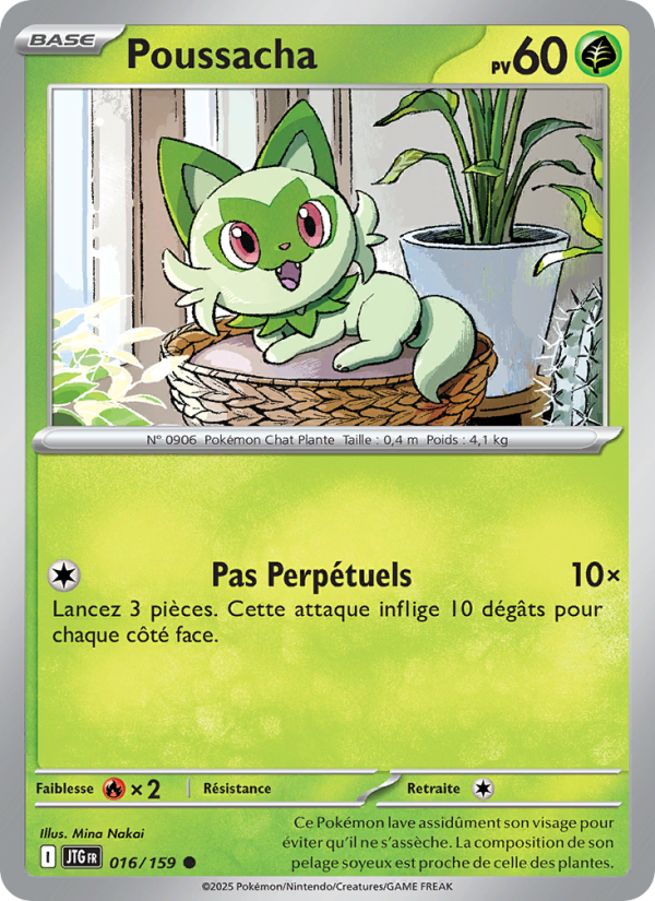 Poussacha 016 — Aventures Ensemble (French Pokémon TCG card)