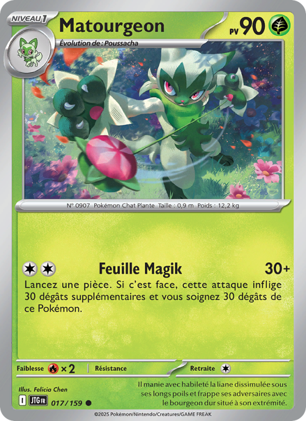 Matourgeon 017 — Aventures Ensemble (French Pokémon TCG card)