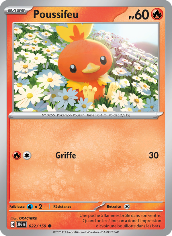 Poussifeu 022 — Aventures Ensemble (French Pokémon TCG card)