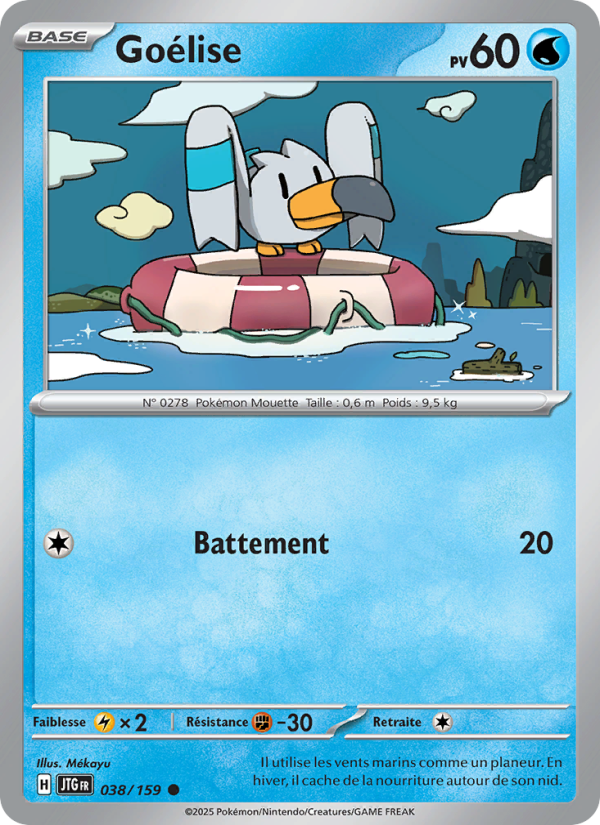 Goélise 038 — Aventures Ensemble (French Pokémon TCG card)