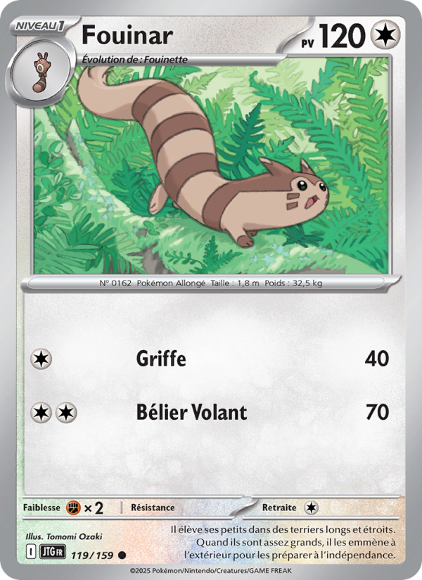 Fouinar 119 — Aventures Ensemble (French Pokémon TCG card)