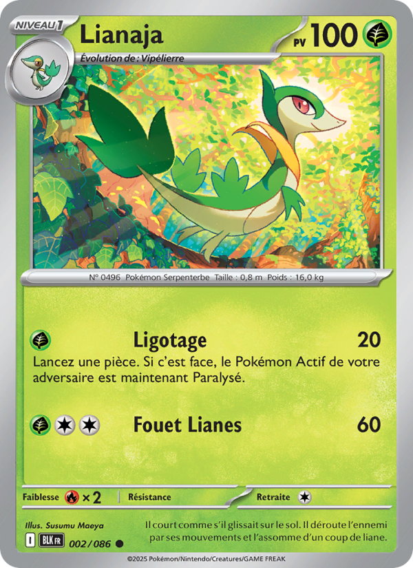Lianaja 002 — Foudre Noire (French Pokémon TCG card)