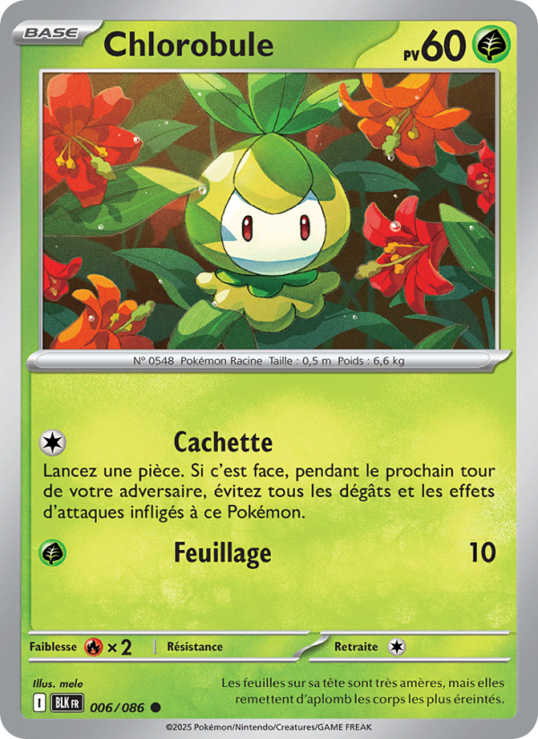 Chlorobule 006 — Foudre Noire (French Pokémon TCG card)