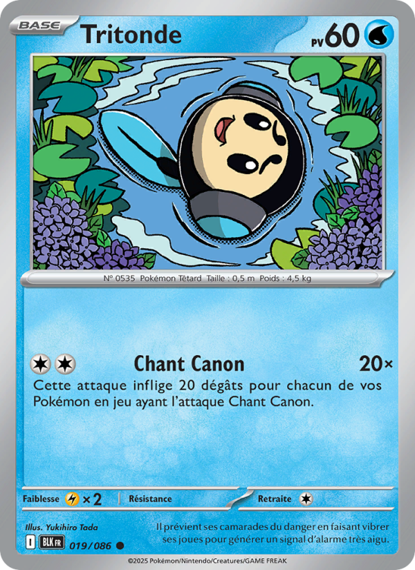 Tritonde 019 — Foudre Noire (French Pokémon TCG card)