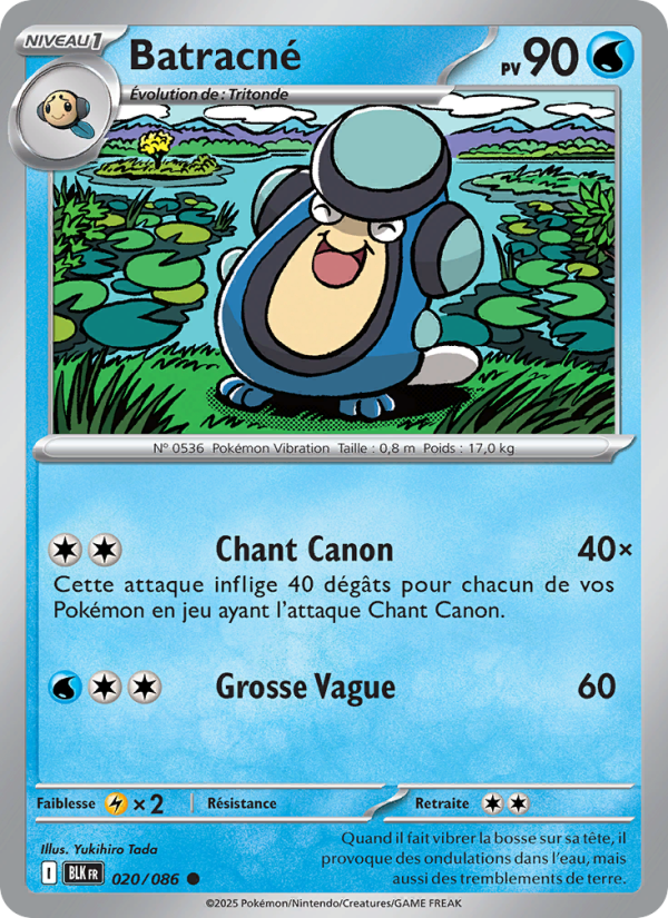 Batracné 020 — Foudre Noire (French Pokémon TCG card)