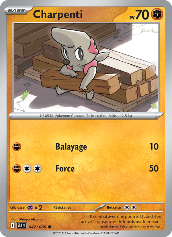 Charpenti 047 — Foudre Noire (French Pokémon TCG card)