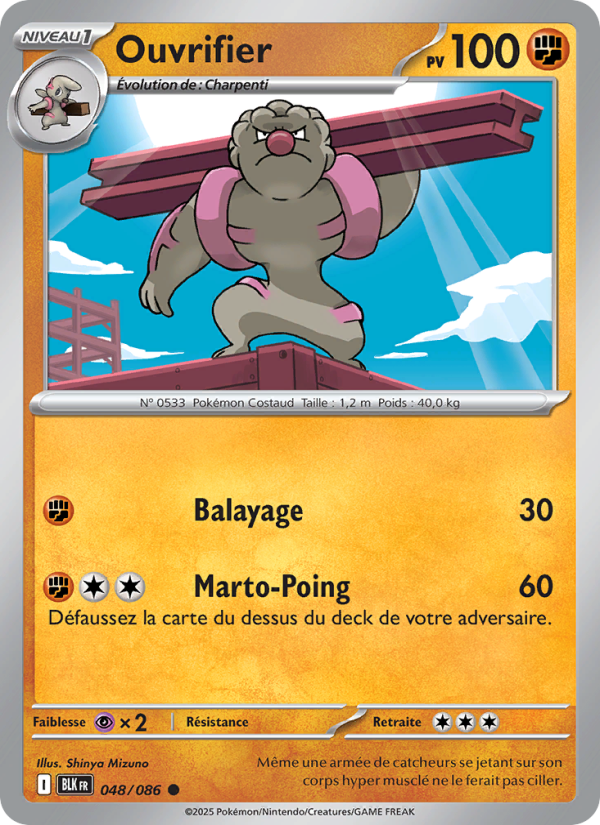Ouvrifier 048 — Foudre Noire (French Pokémon TCG card)