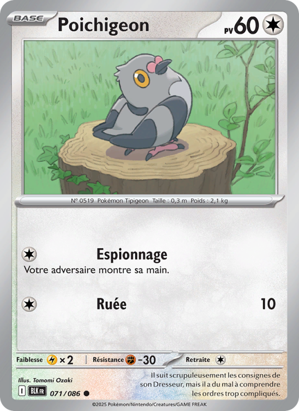 Poichigeon 071 — Foudre Noire (French Pokémon TCG card)
