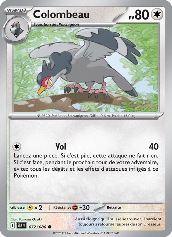 Colombeau 072 — Foudre Noire (French Pokémon TCG card)