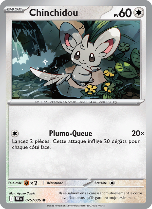 Chinchidou 075 — Foudre Noire (French Pokémon TCG card)