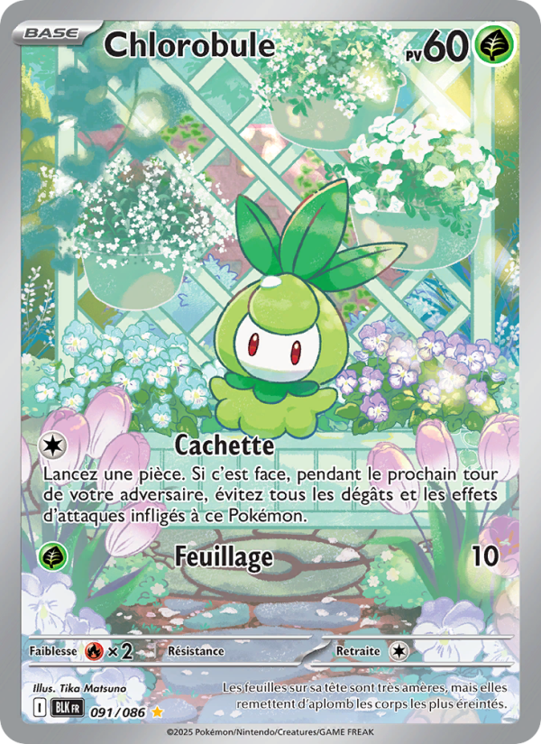 Chlorobule 091 — Foudre Noire (French Pokémon TCG card)