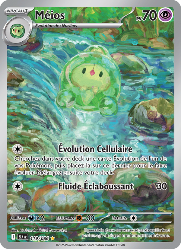 Méios 119 — Foudre Noire (French Pokémon TCG card)