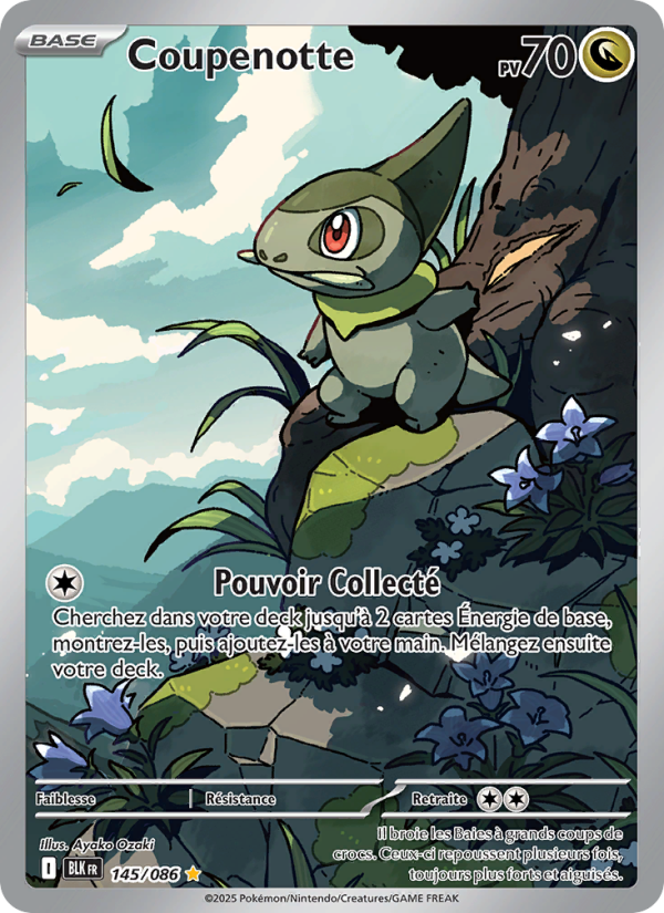 Coupenotte 145 — Foudre Noire (French Pokémon TCG card)