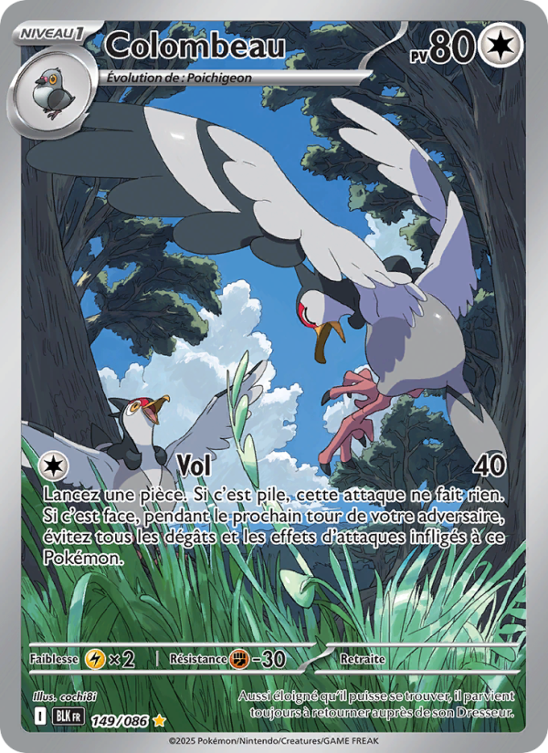 Colombeau 149 — Foudre Noire (French Pokémon TCG card)
