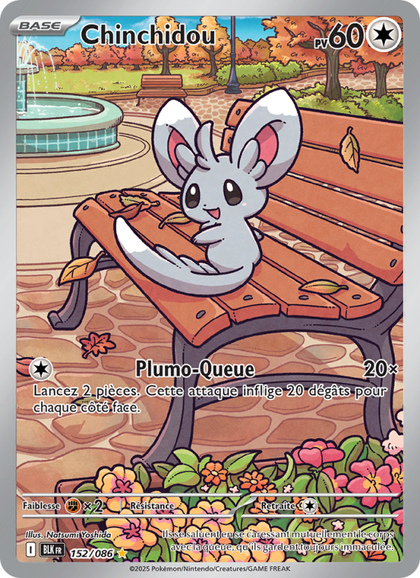 Chinchidou 152 — Foudre Noire (French Pokémon TCG card)