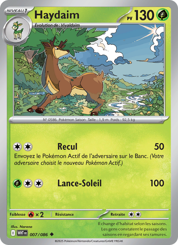 Haydaim 007 — Flamme Blanche (French Pokémon TCG card)