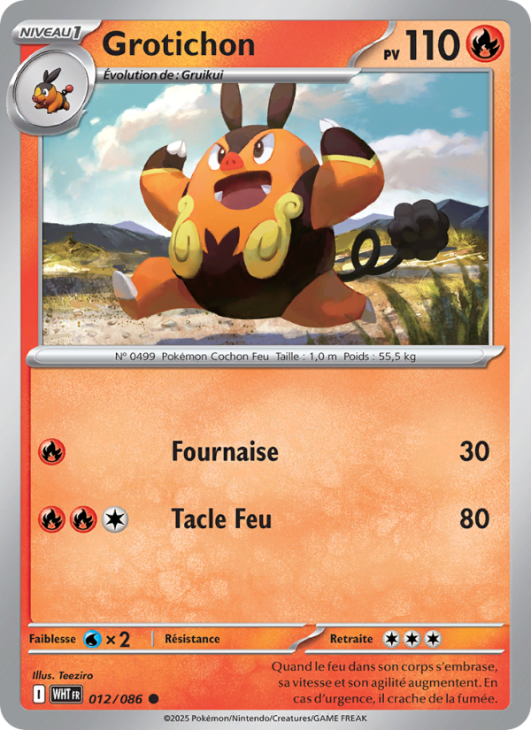 Grotichon 012 — Flamme Blanche (French Pokémon TCG card)