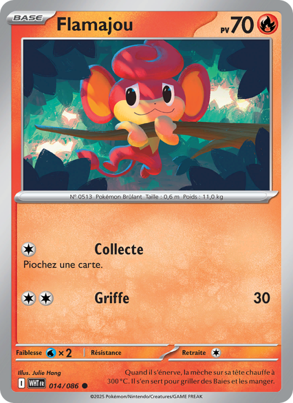 Flamajou 014 — Flamme Blanche (French Pokémon TCG card)