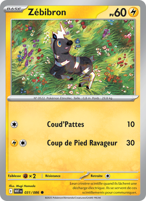 Zébibron 031 — Flamme Blanche (French Pokémon TCG card)