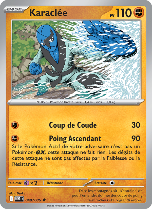 Karaclée 049 — Flamme Blanche (French Pokémon TCG card)