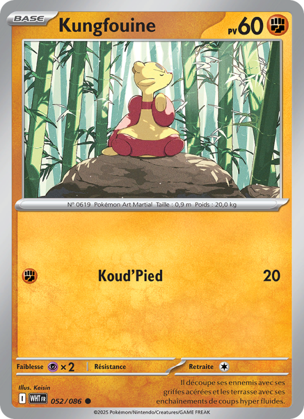Kungfouine 052 — Flamme Blanche (French Pokémon TCG card)