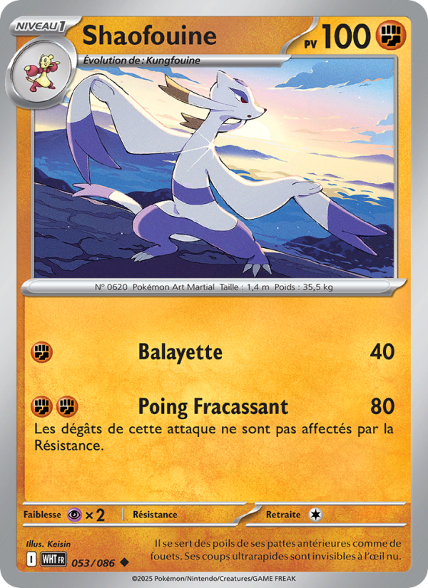 Shaofouine 053 — Flamme Blanche (French Pokémon TCG card)