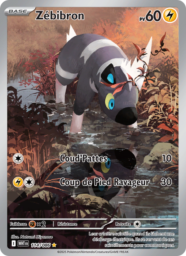 Zébibron 114 — Flamme Blanche (French Pokémon TCG card)