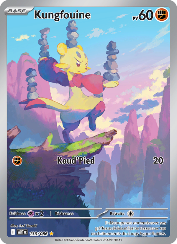Kungfouine 133 — Flamme Blanche (French Pokémon TCG card)