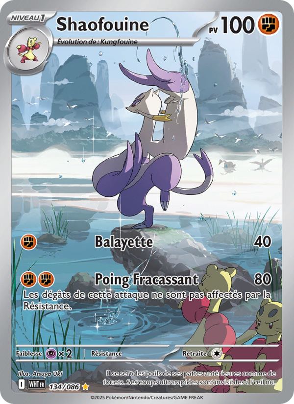 Shaofouine 134 — Flamme Blanche (French Pokémon TCG card)