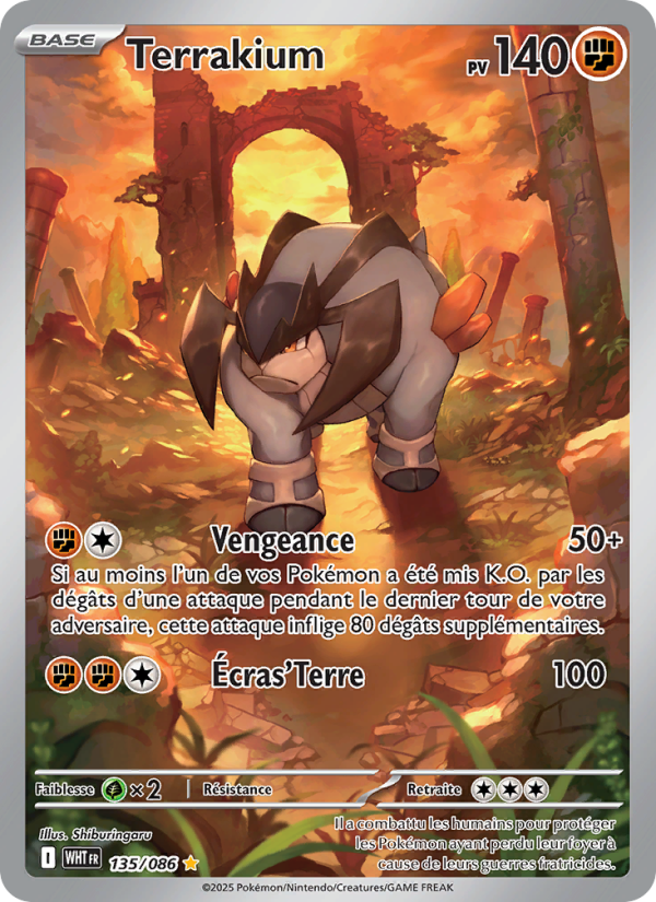 Terrakium 135 — Flamme Blanche (French Pokémon TCG card)