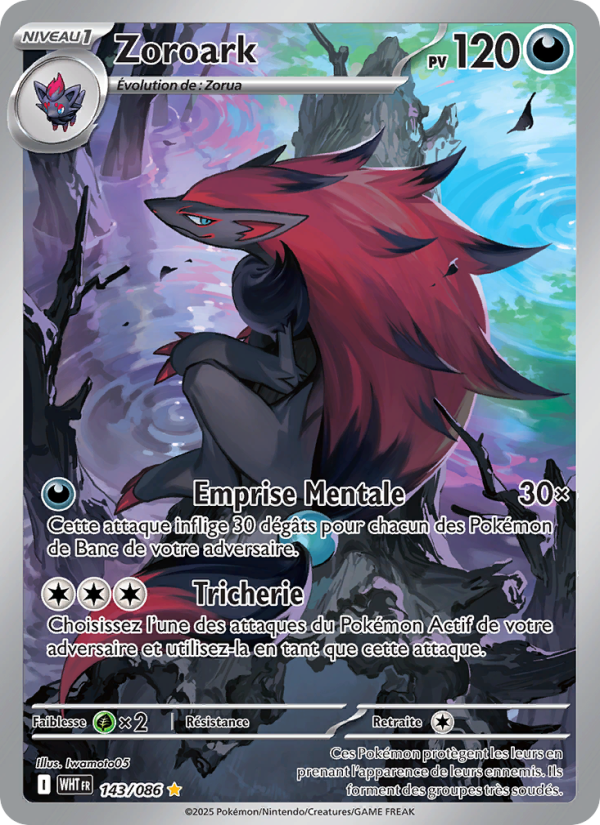 Zoroark 143 — Flamme Blanche (French Pokémon TCG card)