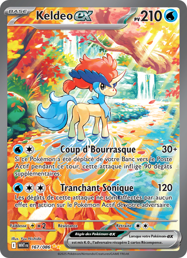 Keldeo-ex 167 — Flamme Blanche (French Pokémon TCG card)