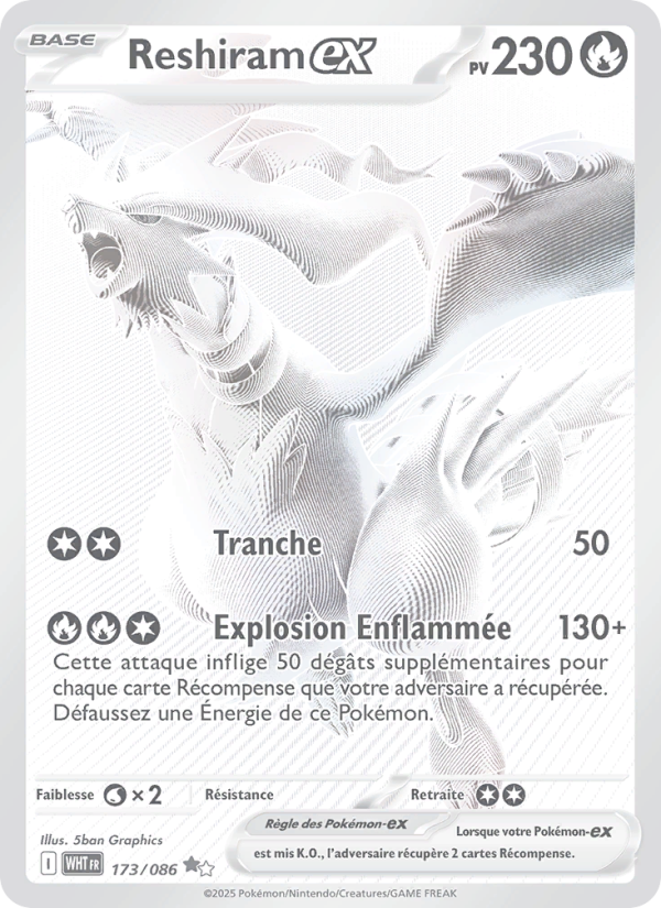 Reshiram-ex 173 — Flamme Blanche (French Pokémon TCG card)