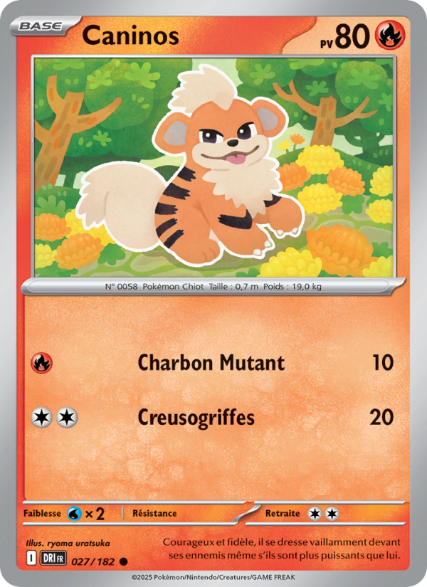 Caninos 027 — Rivalités Destinées (French Pokémon TCG card)