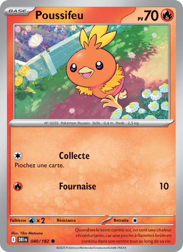 Poussifeu 040 — Rivalités Destinées (French Pokémon TCG card)