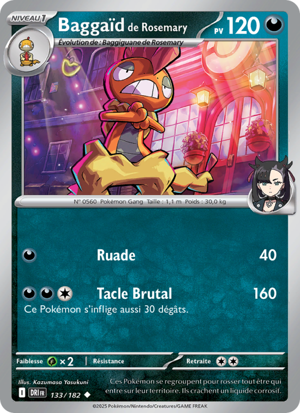 Baggaïd de Rosemary 133 — Rivalités Destinées (French Pokémon TCG card)