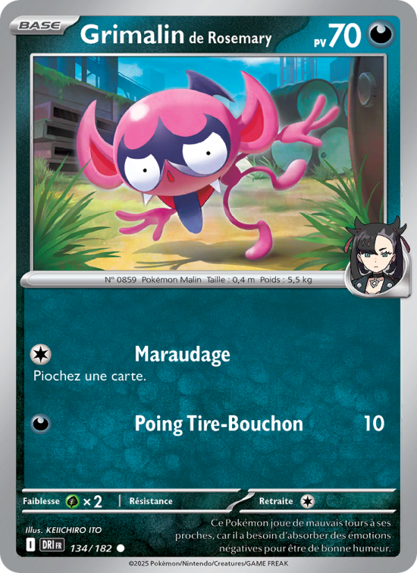 Grimalin de Rosemary 134 — Rivalités Destinées (French Pokémon TCG card)