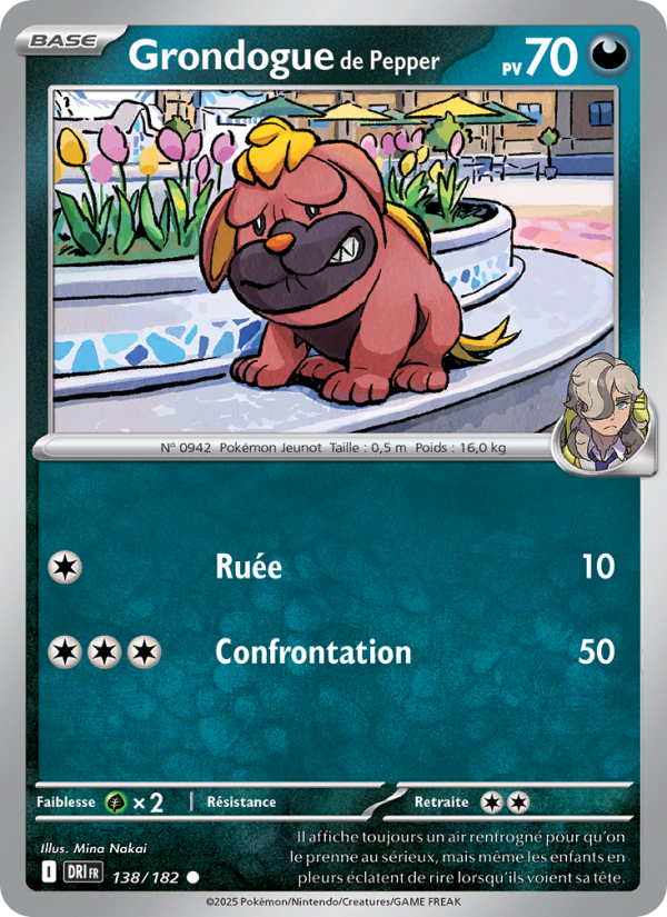 Grondogue de Pepper 138 — Rivalités Destinées (French Pokémon TCG card)
