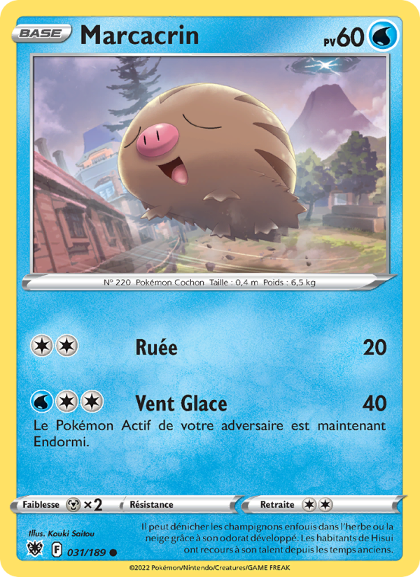 Marcacrin 031 — Astres Radieux (French Pokémon TCG card)