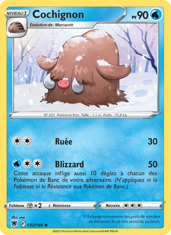 Cochignon 032 — Astres Radieux (French Pokémon TCG card)